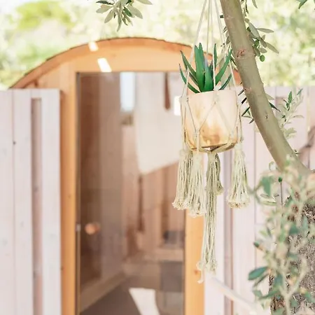 Cocooning By Blue Carpet Bed & Breakfast Pefkochori